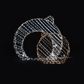 Ornament Ball 2in1