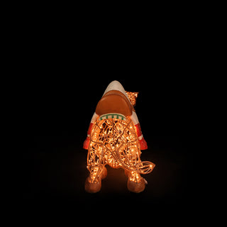 Nativity Camel