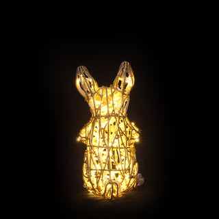 Bunny Kid