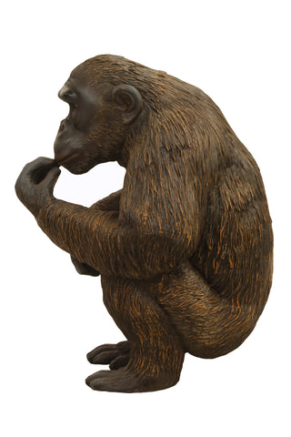 Eating Chimpanzee