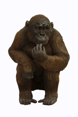 Eating Chimpanzee