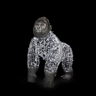 Gorilla Cold White