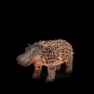 Hippo Baby