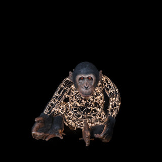 Monkey Mom