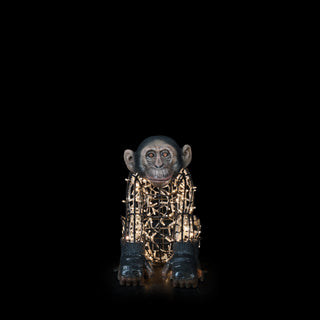 Monkey Baby