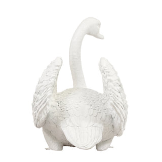 Majestic Male swan