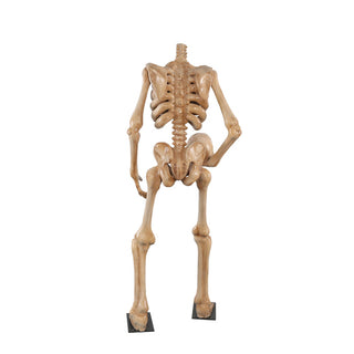 Skeleton 180 "headless"