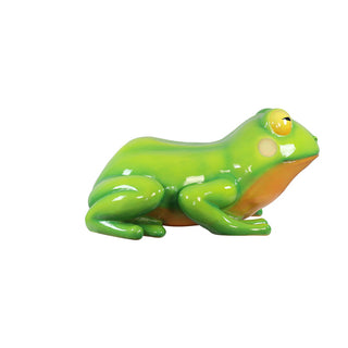 Oranged-Eyed Tree Frog