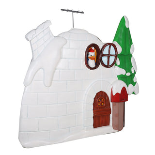 IGLOO HOUSE