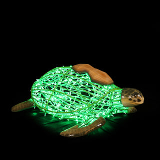 Turtle Standing
