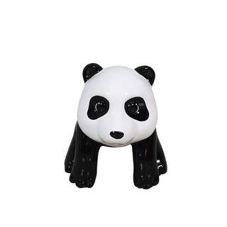 Panda Cub On Adventure