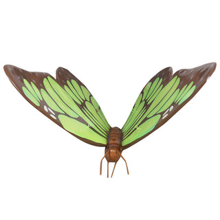 Big Green Butterfly