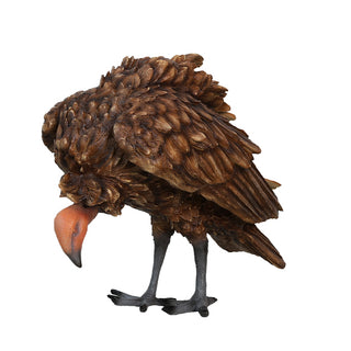Vulture