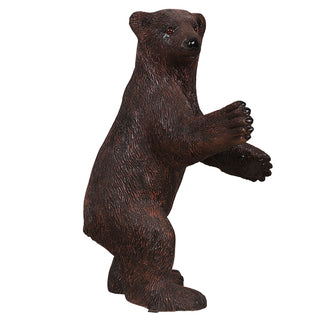 Grizzly Bear Baby