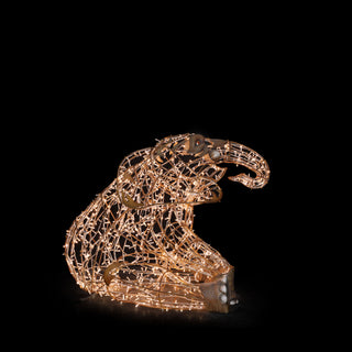 Paddy Elephant