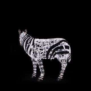 Zebra Baby