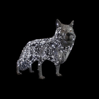 He Wolf