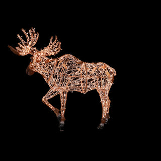 Mr. Moose