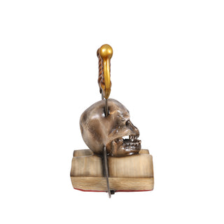 Skull On A Book
