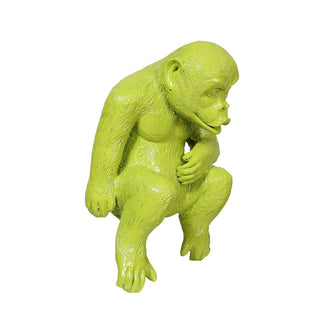 Young Gorilla