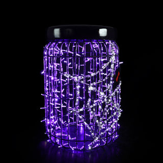 Jar Spider
