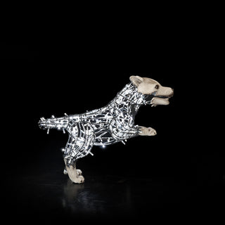 Wolf Lucky