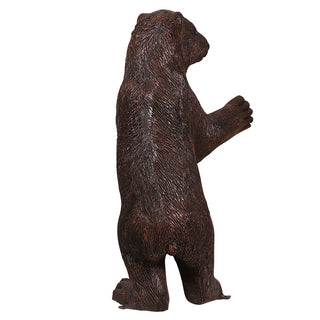Grizzly Bear Baby