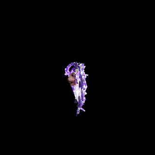 Bat (purple)