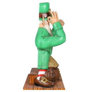 Leprechaun Photo Op