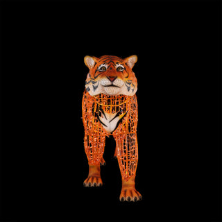 Tiger Walking