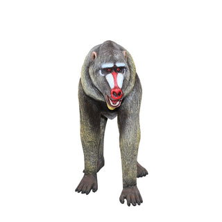 Baboon
