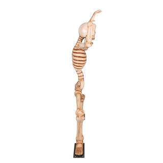 Skeleton Squating 7ft
