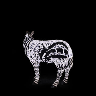 Zebra Baby