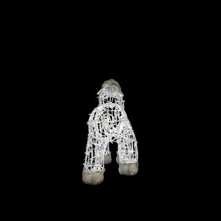 Polar Bear Baby, Walking