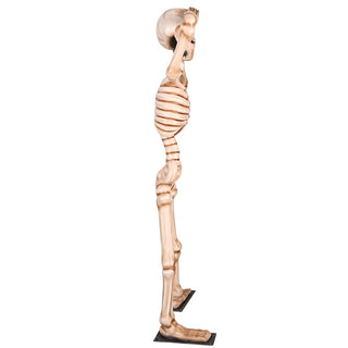 Skeleton Head Pop 7ft