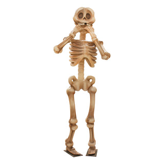 SKELETON "HNE"