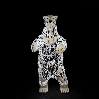 Polar Bear Paps