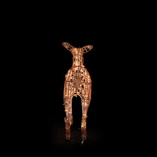 Deer Fawn Standing