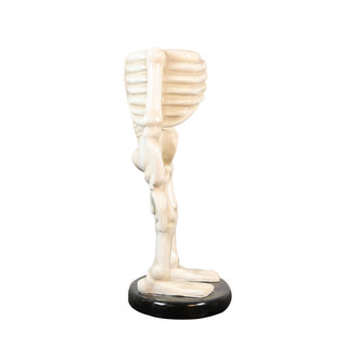 Skeleton Body
