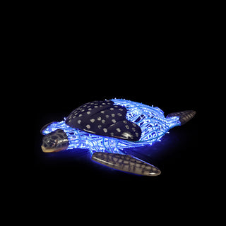 Turtle Swimming