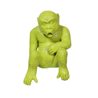 Young Gorilla